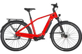 Kettler Pinniato HT Sport - 960 Wh - 29 Zoll - Diamant 55cm