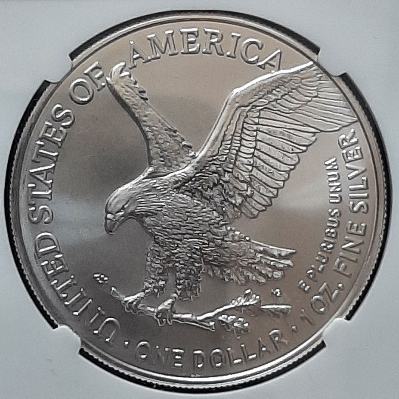 Alle Münzen: 1 oz Silver American Eagle 2021 NGC MS 69 S – Neu und originalverpackt aus Carouge GE von cecob0909 3