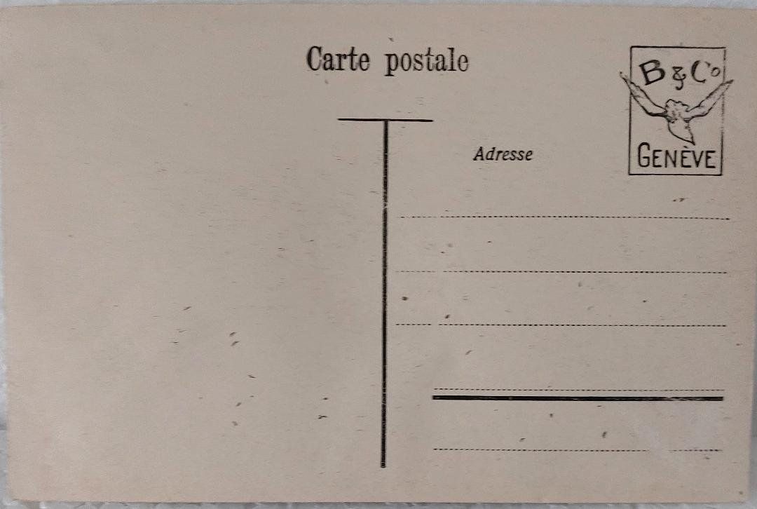 Ansichtskarten: LAC LÉMAN   -  Cygnes et mouettes – Gebraucht aus Delémont von Domdom1 1