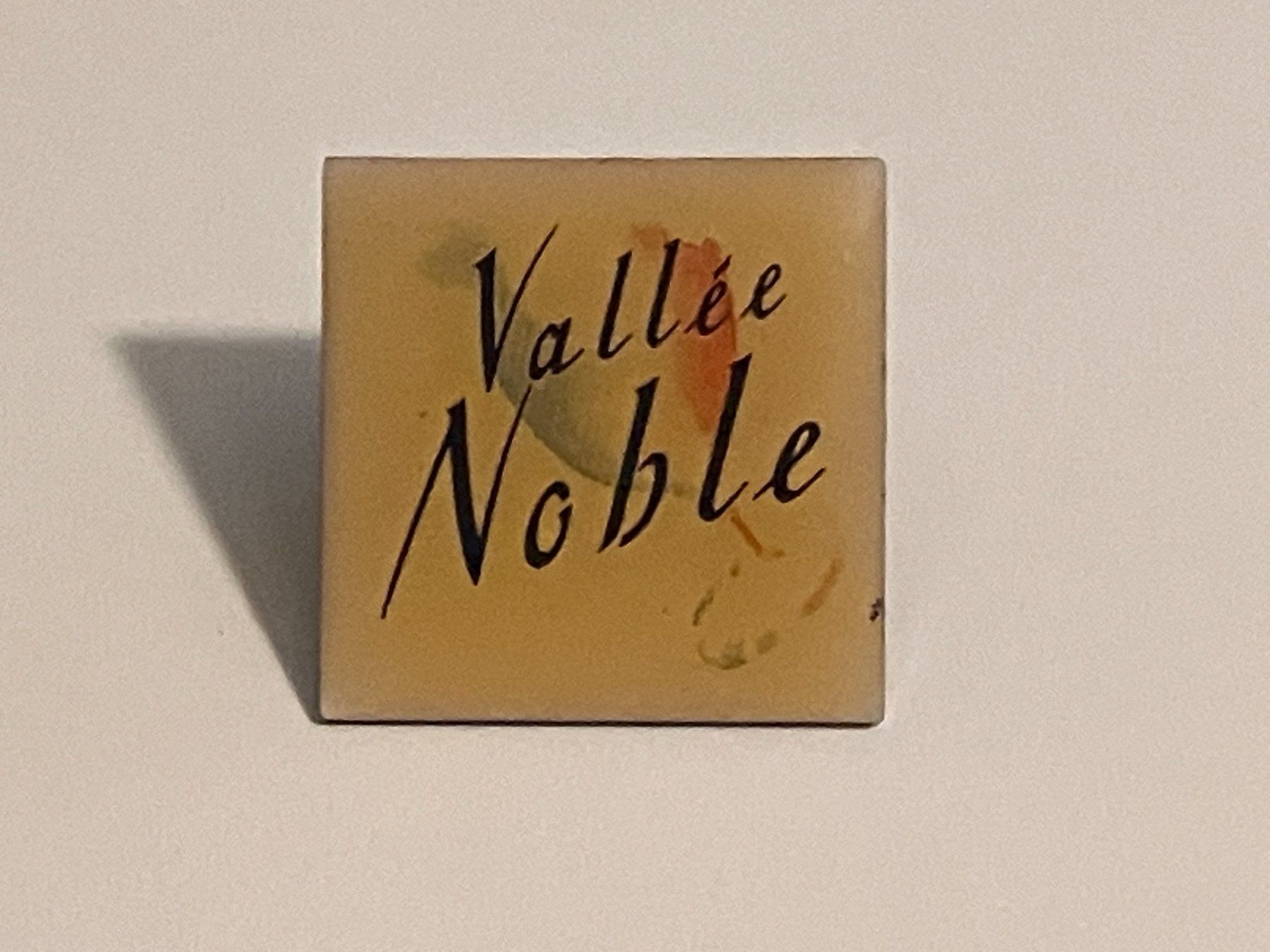 Placchette & Badge: 1 Pin Vallee Noble – Usato da Basel venduto da djwwpp