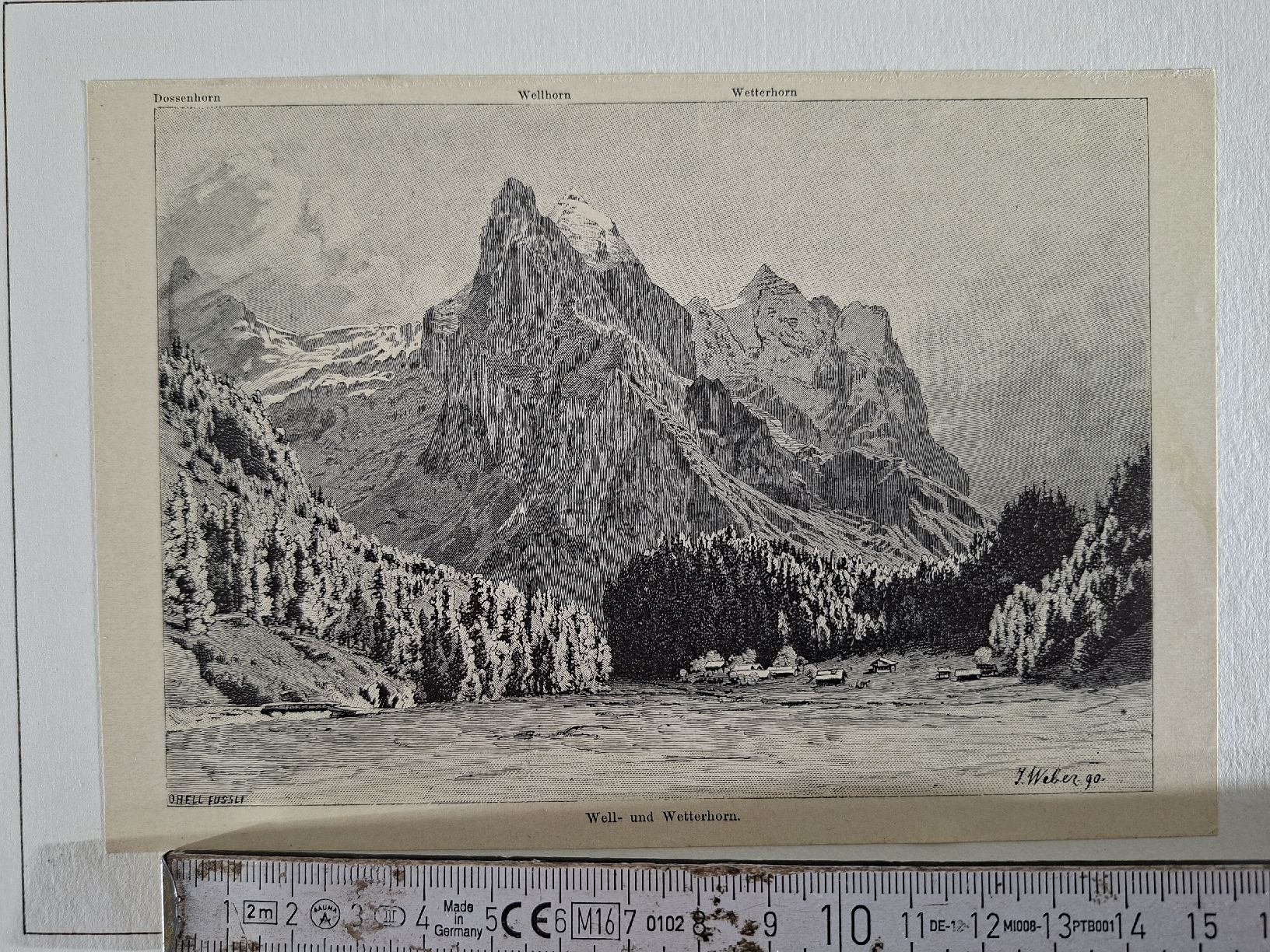 Incisioni: Lot 44 , 5 Stiche  – Usato da Grindelwald venduto da carro5 1