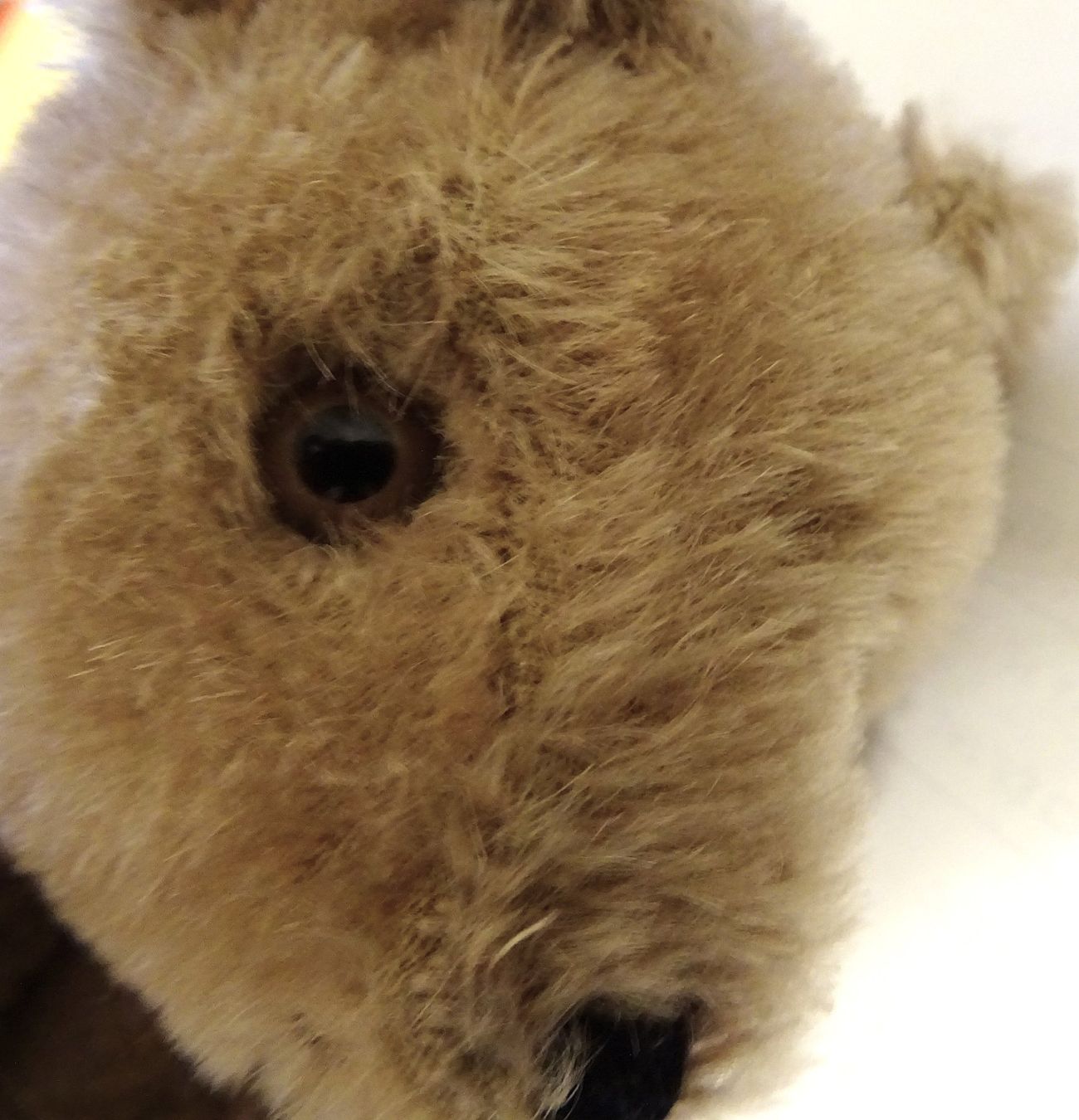 Teddy Hermann Giocattoli: Vintage-Teddybär-Handpuppe, vermutlich Hermann – Usato da Lengnau BE venduto da Muggi7 5