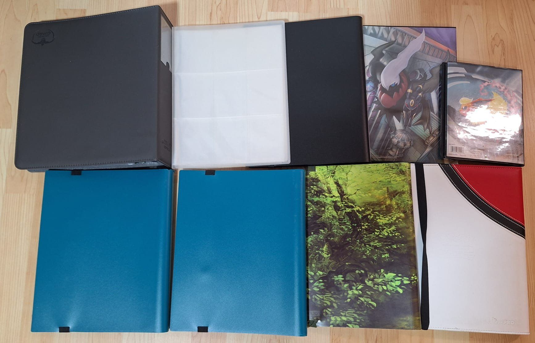 Pokémon Carte collezionabili: Diverse Pokemon Binder – Usato da Andwil SG venduto da popatus 1