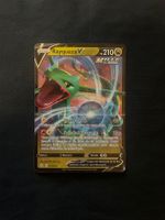 Rayquaza V FRançais 110/203