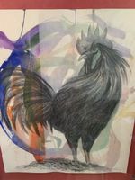 FURIOSO (ROLAND OTT) 1962-2013 Feldkirch