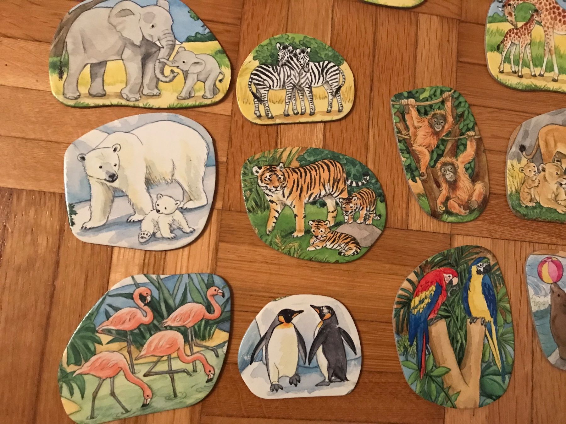 Puzzle: Puzzle - Zoo - 12 Teile ab 18 Mt – Usato da Emmenbrücke venduto da Hathor123 7