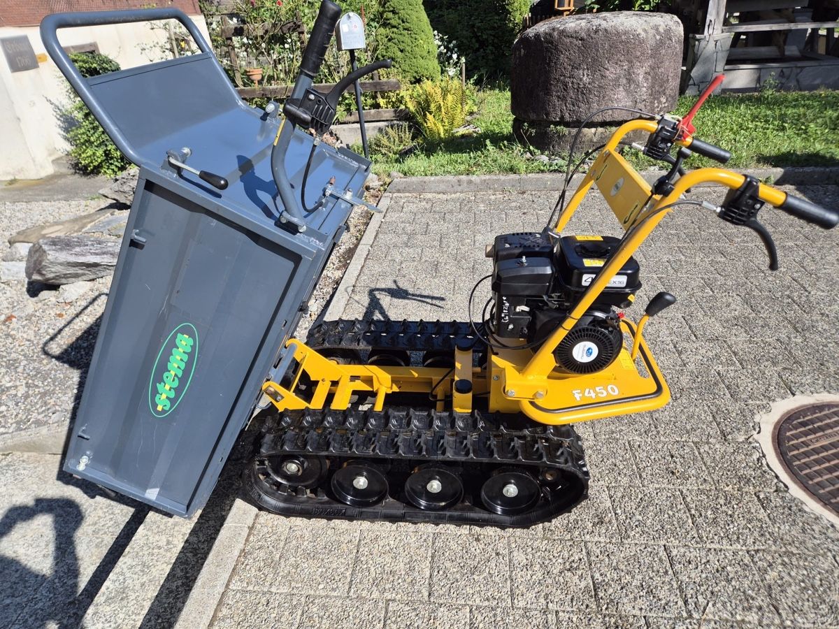 Toutes les machines: Raupentransporter – D'occasion à Stans par winternight 1