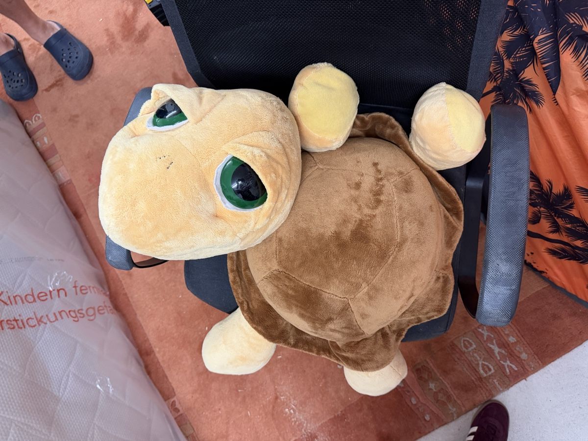 Giocattoli: Plüsch Schildkröte – Nuovo (secondo la descrizione) da Uster venduto da oranger_pulli 1