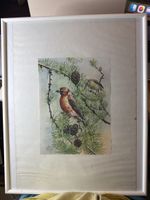 Offset d’un oiseau de Dez LECKE