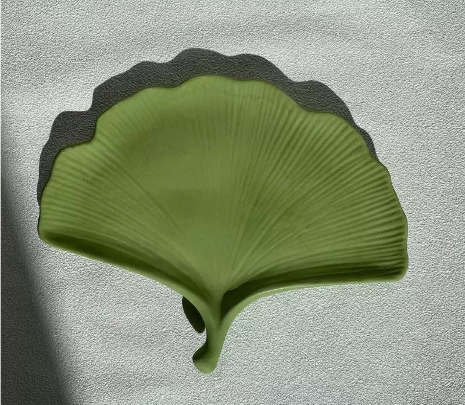 Teglie da forno: Giessform Silikonform Betonform Schale Teller Ginko – Nuovo e nell'imballaggio originale da Kaltbrunn venduto da schere-stein-papier 3