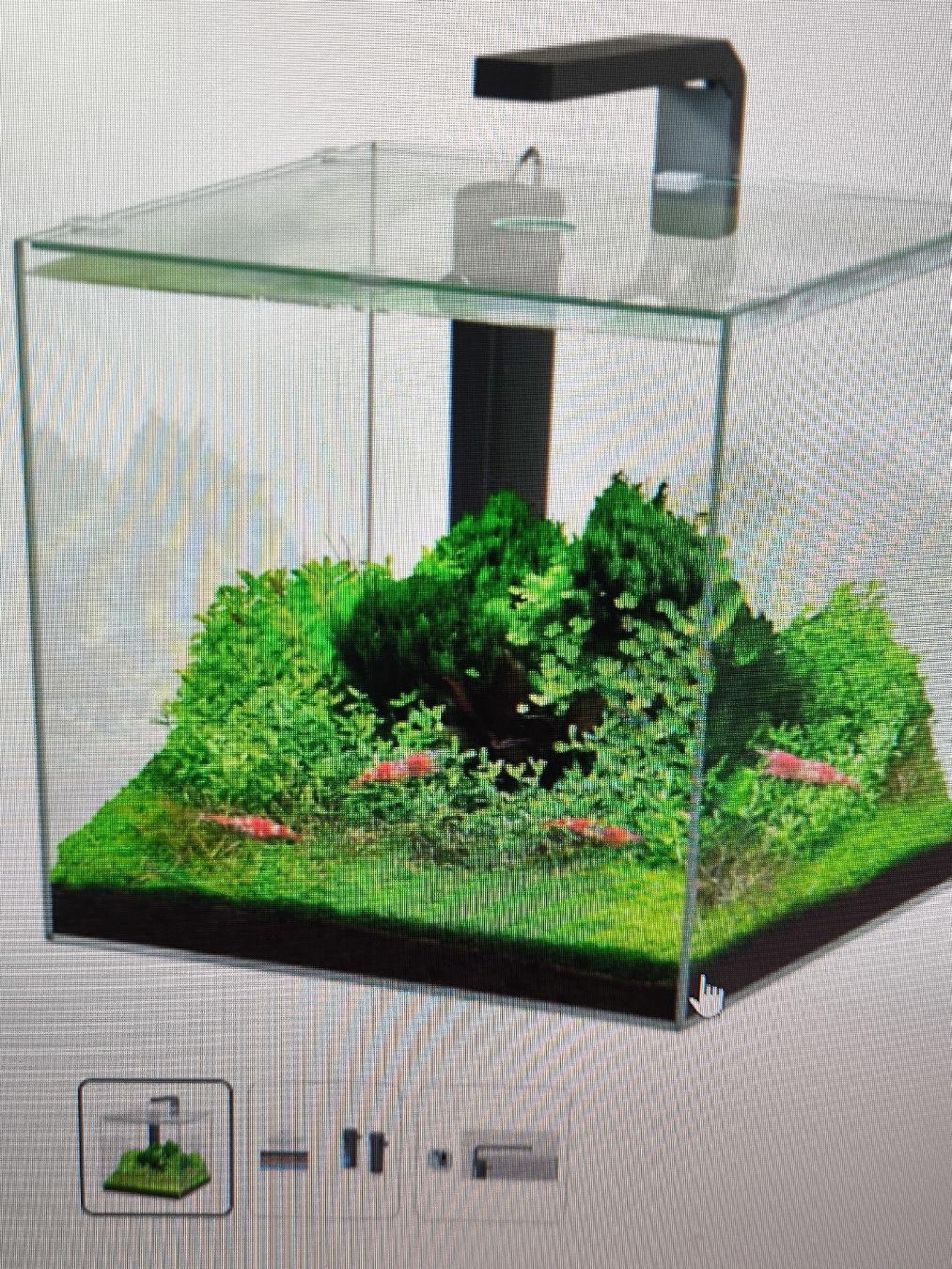 Aquarium: Aquarium 22l  – Gebraucht aus Frenkendorf von m.eigenmann 3