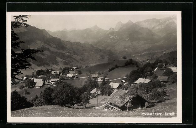 Cartoline postali: Weissenburg, Ortsansicht aus der Vogelsc – Usato da Berlin venduto da bartko-reher