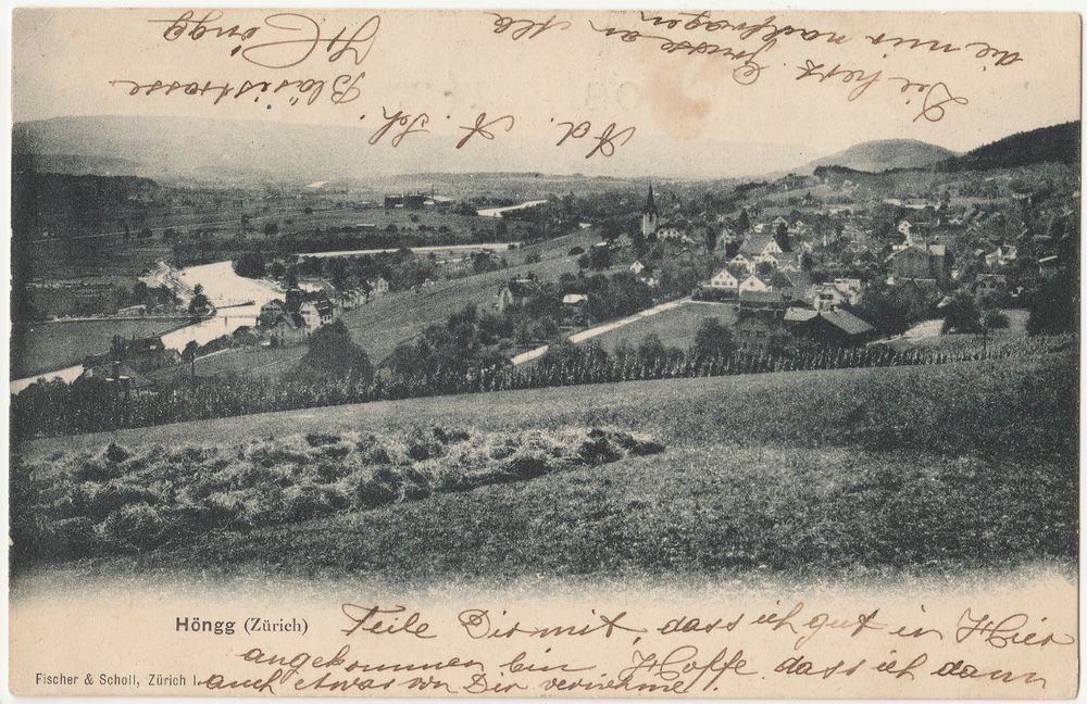 Höngg (Zürich) - (1899/1906) (Gebraucht) in Fällanden für CHF 11.6 ...