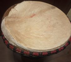 Djembe africain authentique - Son riche et puissant!