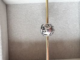 PANDORA charm silver 925 “all around the world”