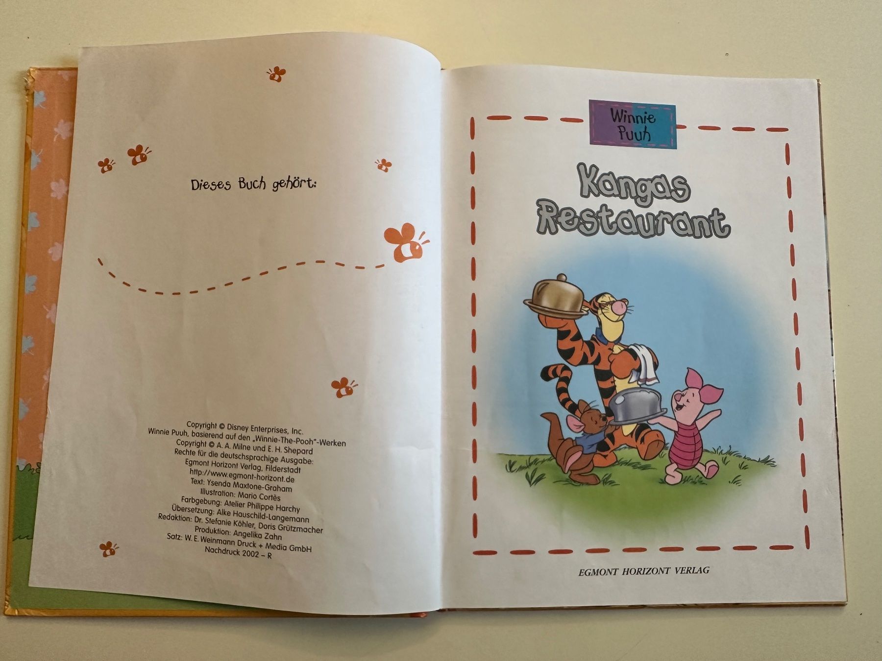 Libri: Winnie Puuh - Kangas Restaurant – Usato da Münsingen venduto da Ganjam 3