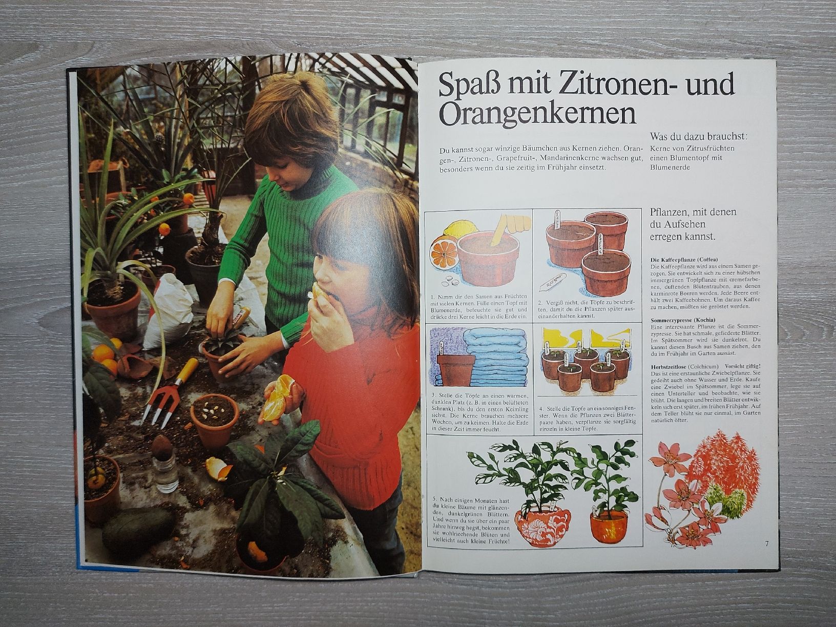 Livres: Gartenbuch für Kinder  – D'occasion à Bern par Bernaro 6