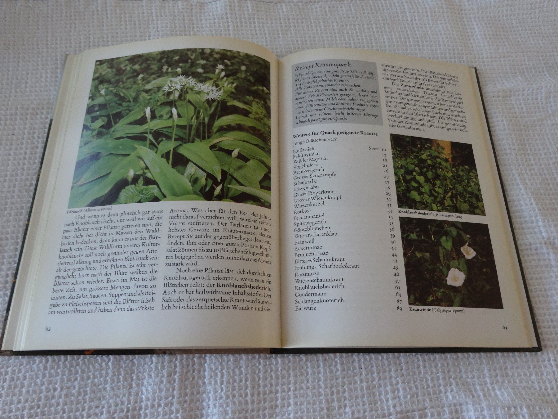 Libri: Streifzug durch Wald und Wiese – Usato da Neerach venduto da jenny062 6