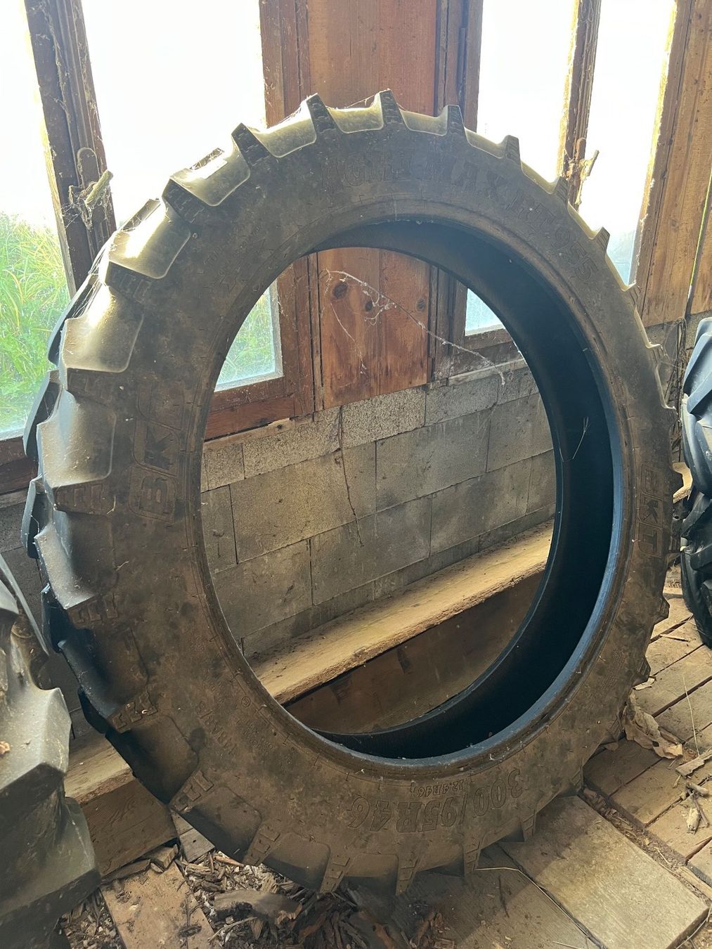 Pneumatici & Ruote complete: Reifen 300/95 R46 Agri Max – Usato da Bleienbach venduto da sch_wh9d