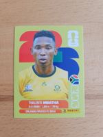 Panini WM 2026 RSA 12