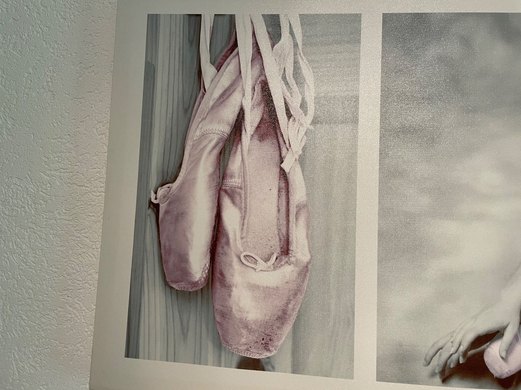 Foto & Immagini: Canvas ballerina 🩰 – Usato da Waedenswil venduto da Paps04 2
