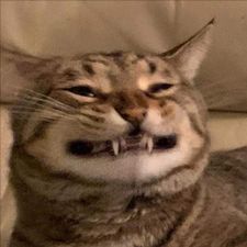 Profile image of Dima_12345