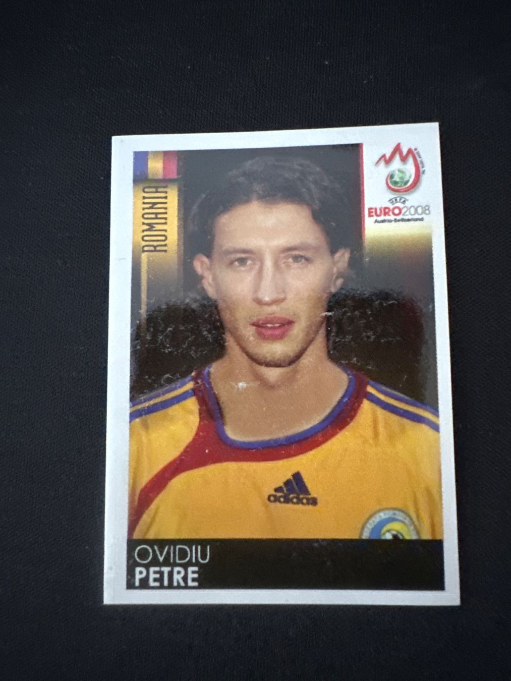 Panini Carte collezionabili: Panini UEFA EM 2008 Sticker - Nr. 321 – Usato da Sulz AG venduto da DealWerk