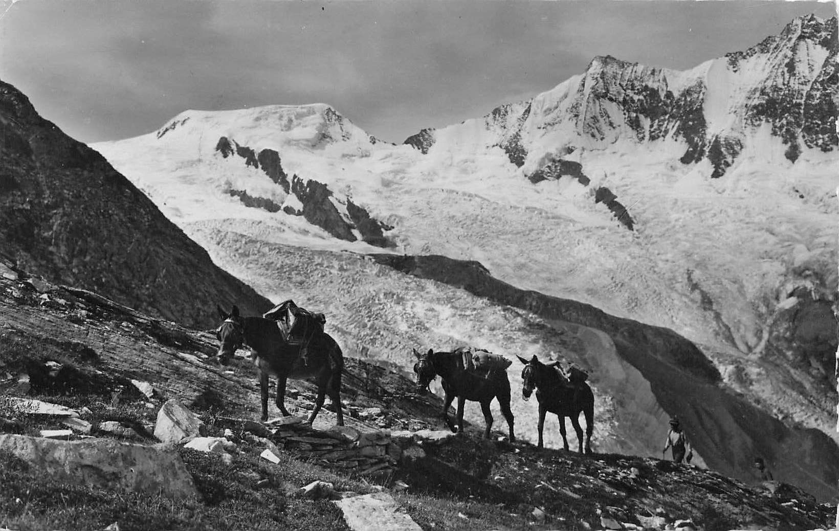 Cartoline postali: Saas Fee maultiertrasport – Usato da Biasca venduto da Blenio71