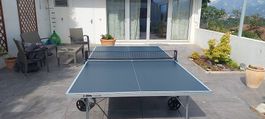 table tennis de table cornilleau 100x comme neuve