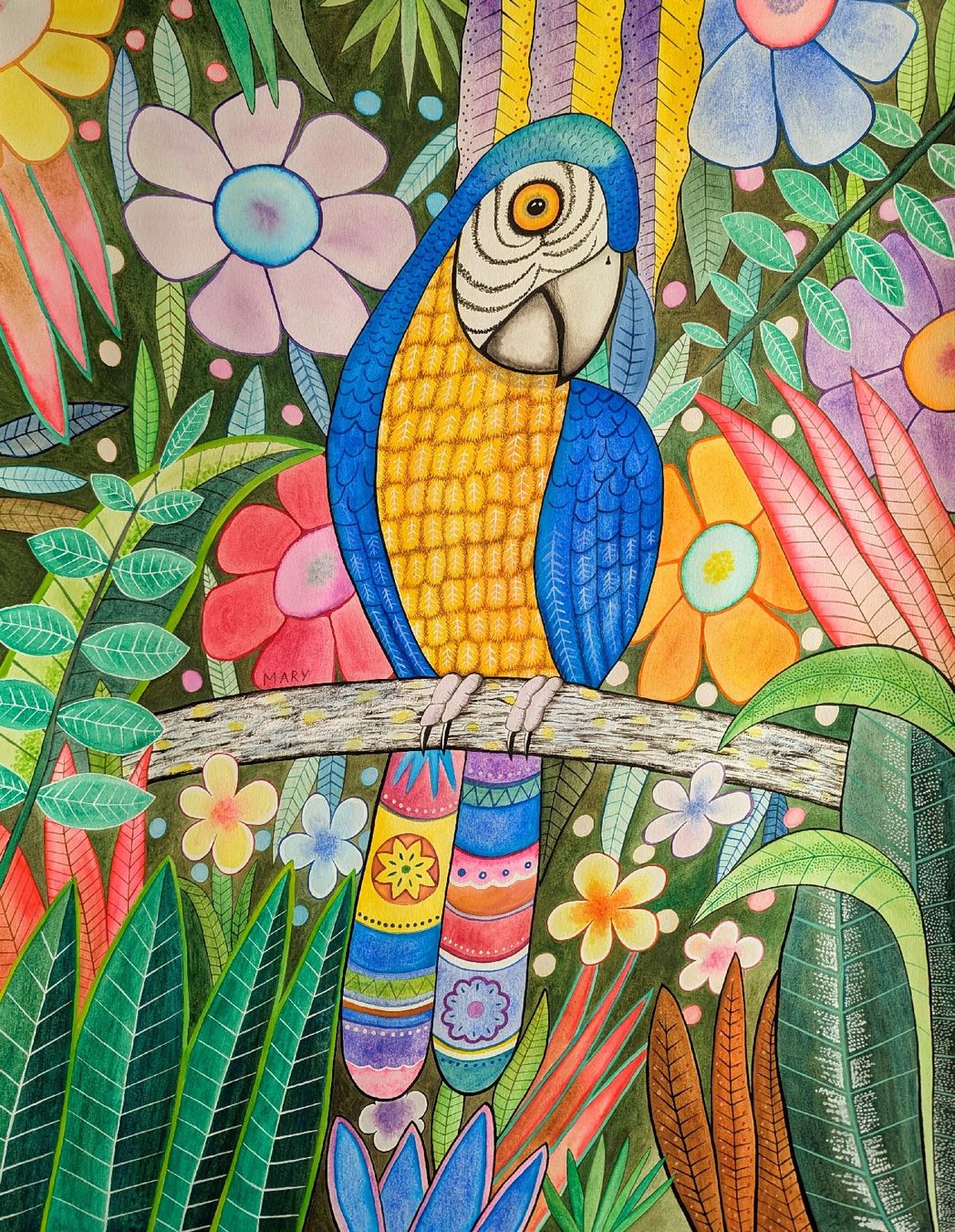 Gemälde: Original Aquarell Papagei Bild bunt – Neu und originalverpackt aus Wittenbach von Mary.M.Boesch