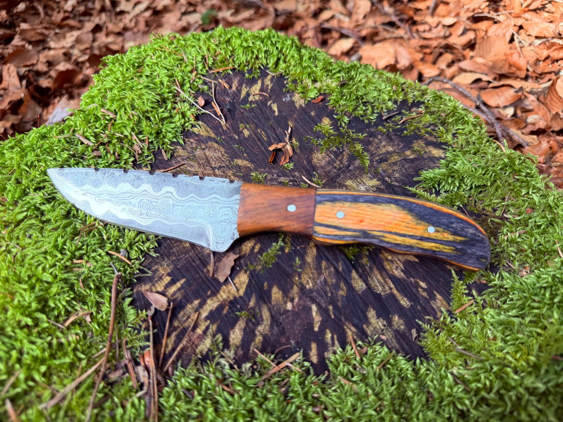 Accessoires: Damast Jagdmesser – Neuf (Voir description) à Luzern par asciva 1