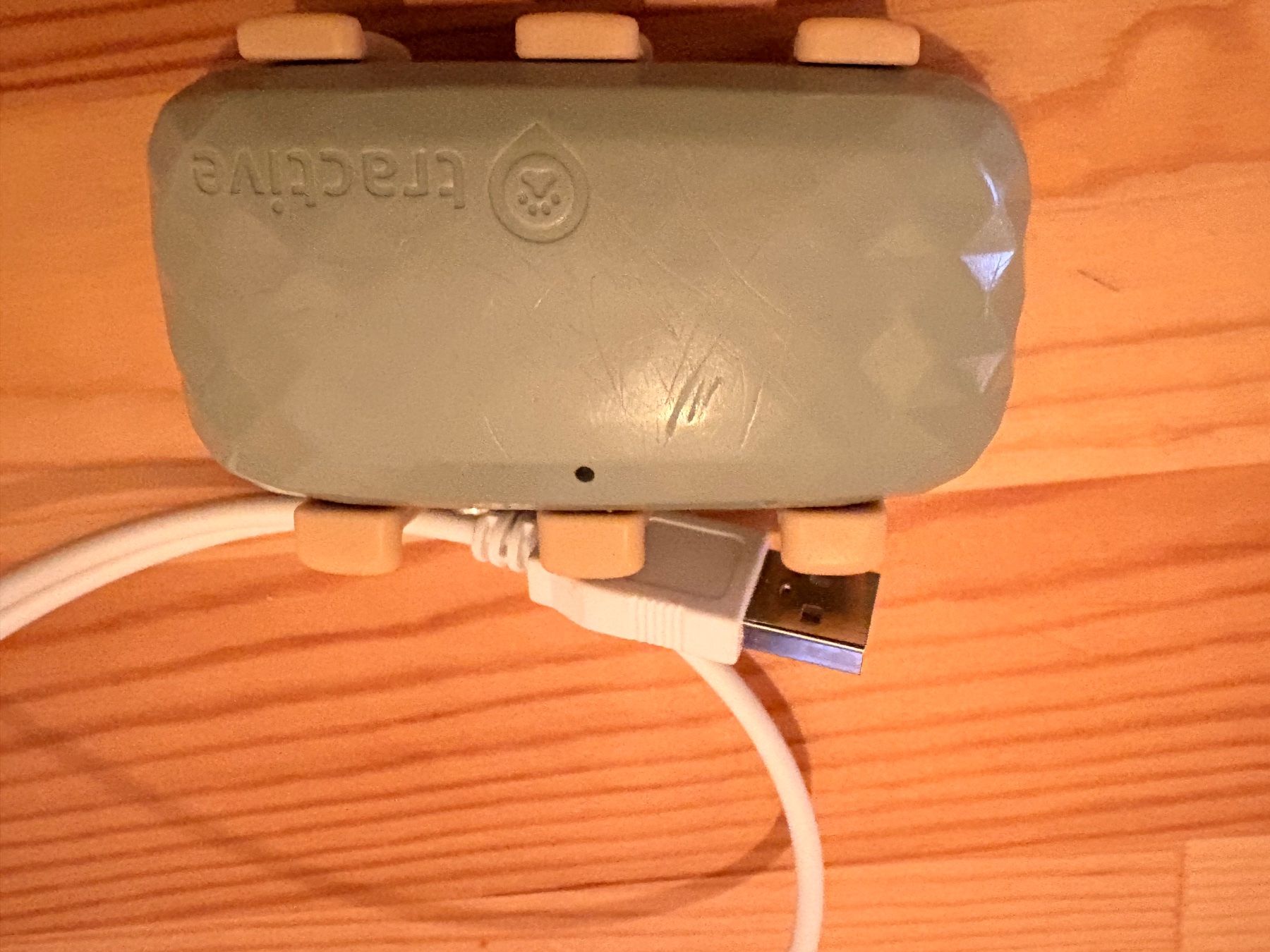 Altro in Accessori per animali: Tractive Dog XL - Dog GPS Tracker – Usato da Thalwil venduto da dio_97vd 1