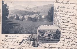 Montmollin  NE (tampon linéaire: Geneveys-sur-Coffrane) 1900
