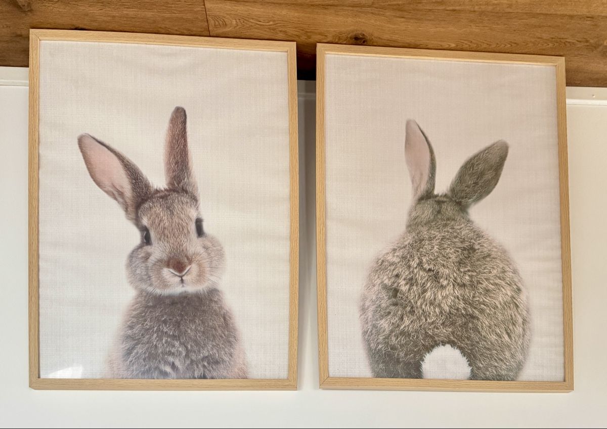 Poster & Bilder: 2 framed rabbit posters for baby room – Neu (gemäss Beschreibung) aus Wädenswil von katdede