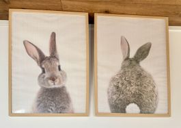 2 framed rabbit posters for baby room