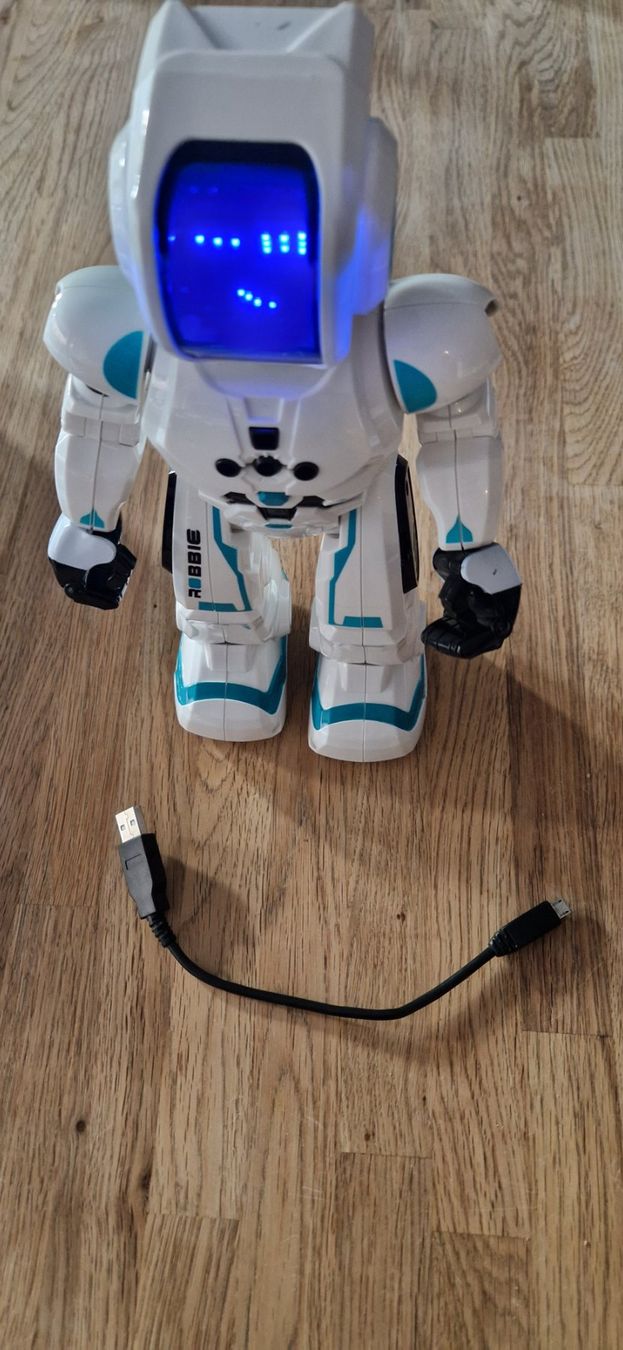 Giocattoli: EXTREME BOTS ROBBIE – Usato da Winterthur venduto da Tulipane 2