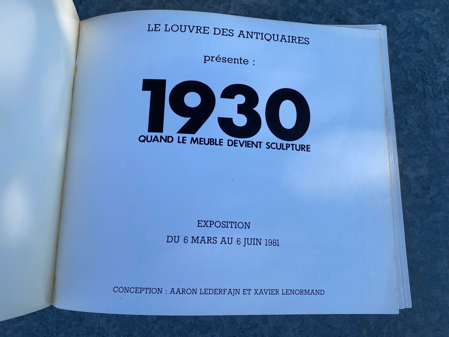 Libri: Buch 1930 Quand le meuble devient sculpture – Usato da Feldbach venduto da Olive1 6