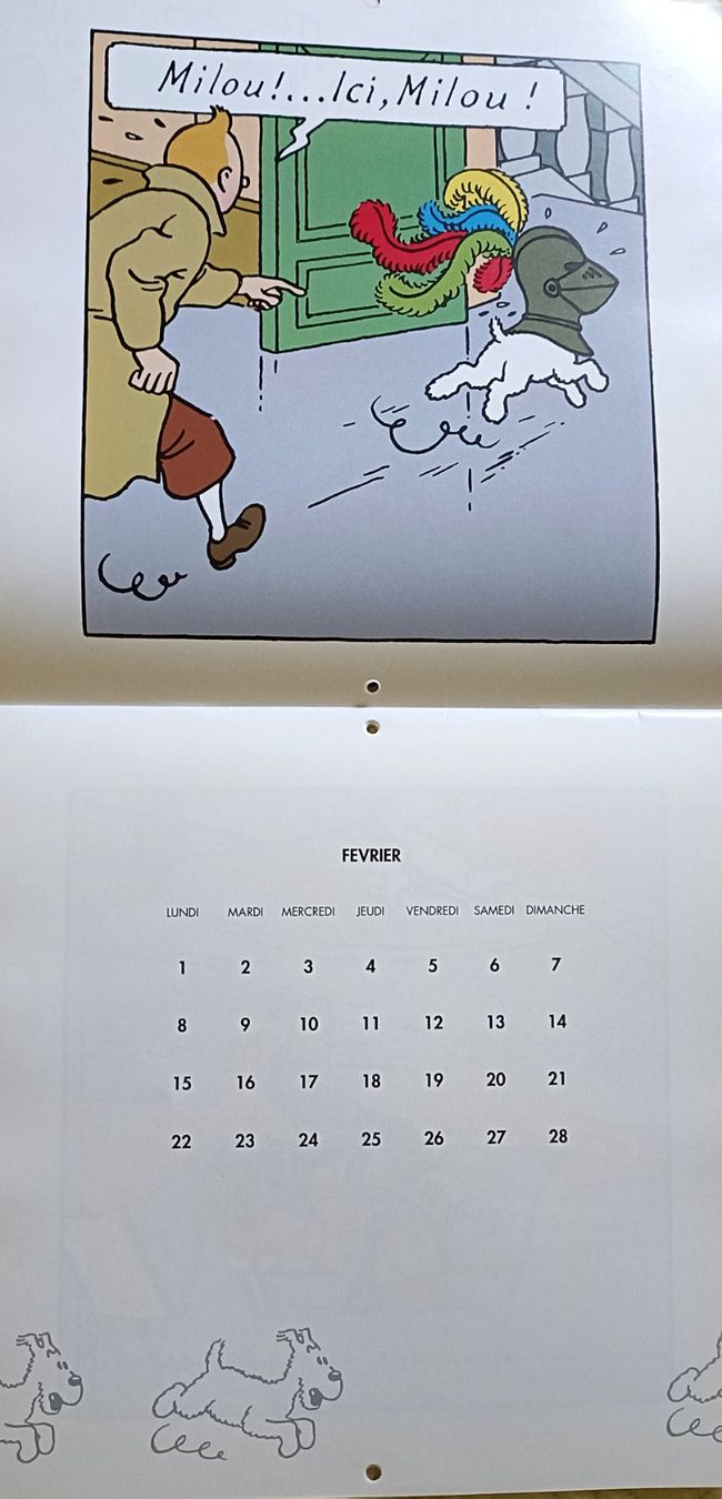 Calendari: Tintin, Calendrier 1993, – Nuovo (secondo la descrizione) da Evilard venduto da mic_yp8t 1