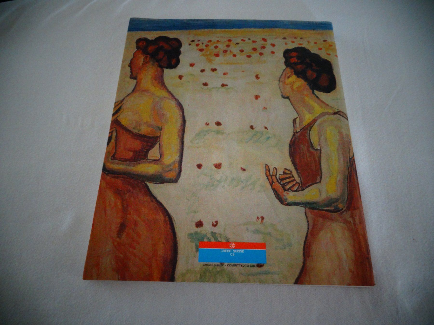 Bücher: Ferdinand Hodler Views Visions – Gebraucht aus Neerach von jenny062 8