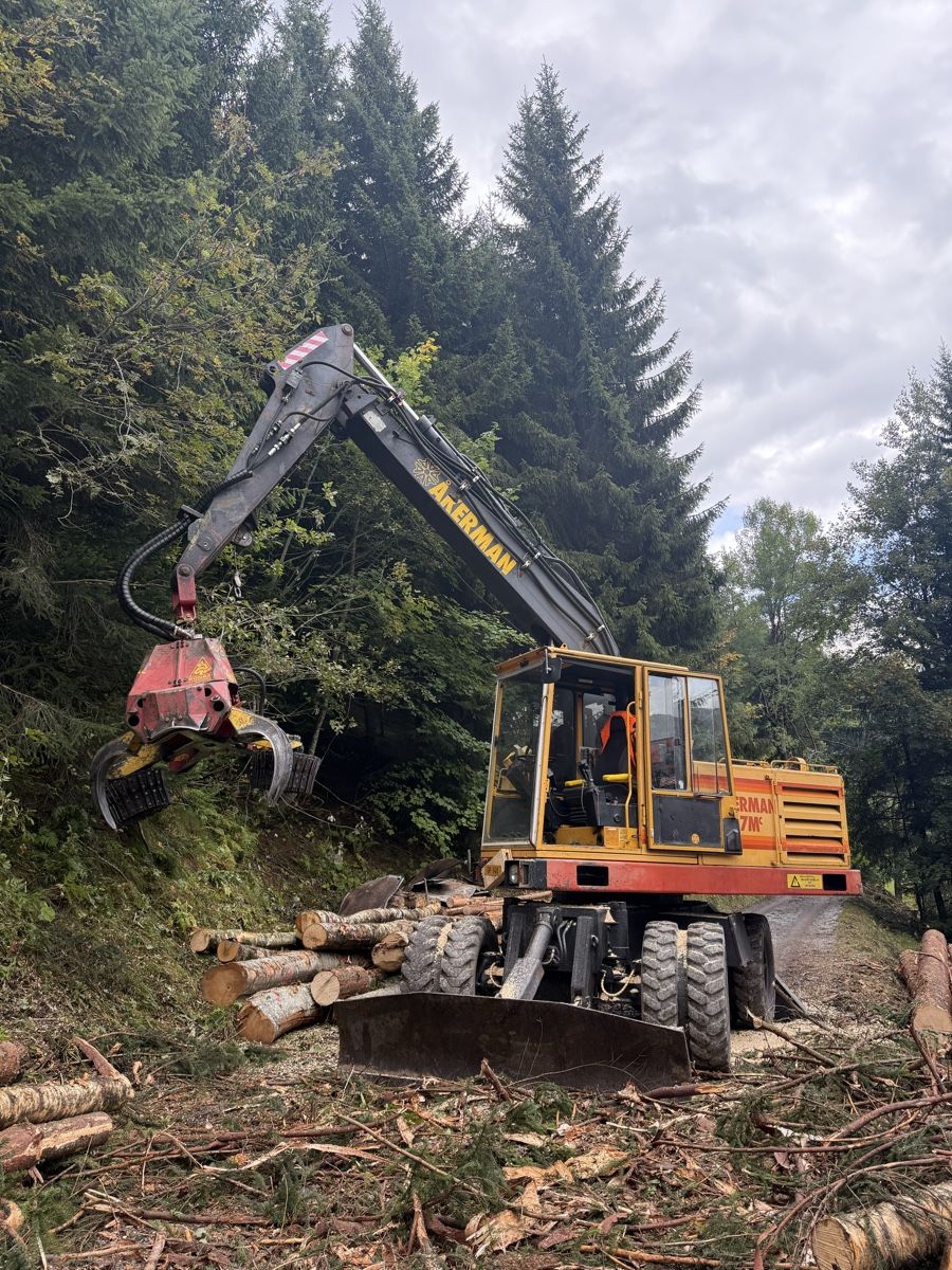 Escavatori: Åkerman Bagger/Woody/ Seilwinde – Usato da Igis venduto da Menzi5x 5