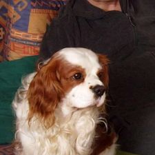 Profile image of Frago47