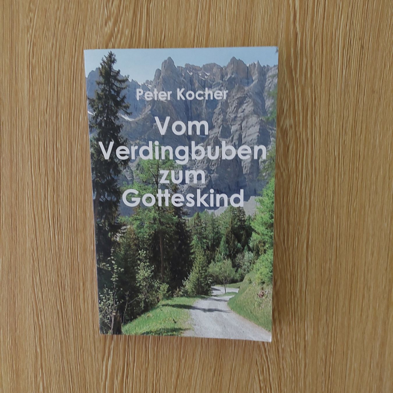 Libri: Vom Verdingbuben zum Gotteskind – Usato da Belp venduto da masterdriftking