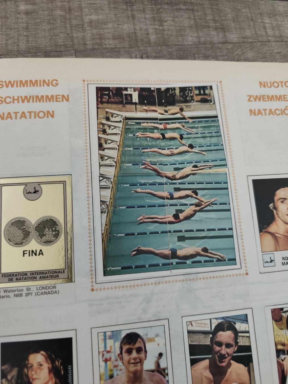 Panini Album: Panini Alben Top Zustand – Usato da Kreuzlingen venduto da m0ritz.sch 8
