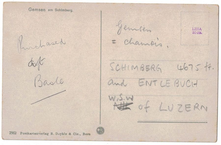 Cartoline postali: Gemsen am Gitziturm (Entlebuch) – Usato da Frauenfeld venduto da POML 1
