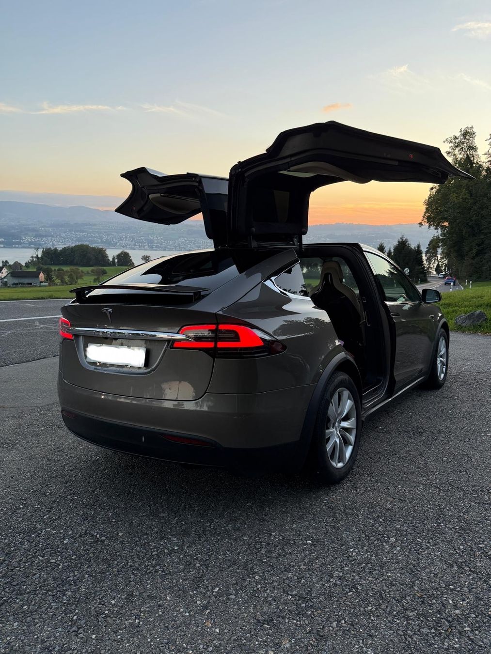 Tesla Automobili: Tesla Model x 90D Free Supercharge – Usato da Tann venduto da Samimi02 2