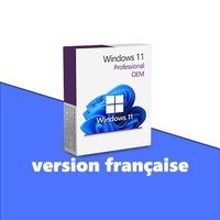 Windows 11 Professional OEM - FR