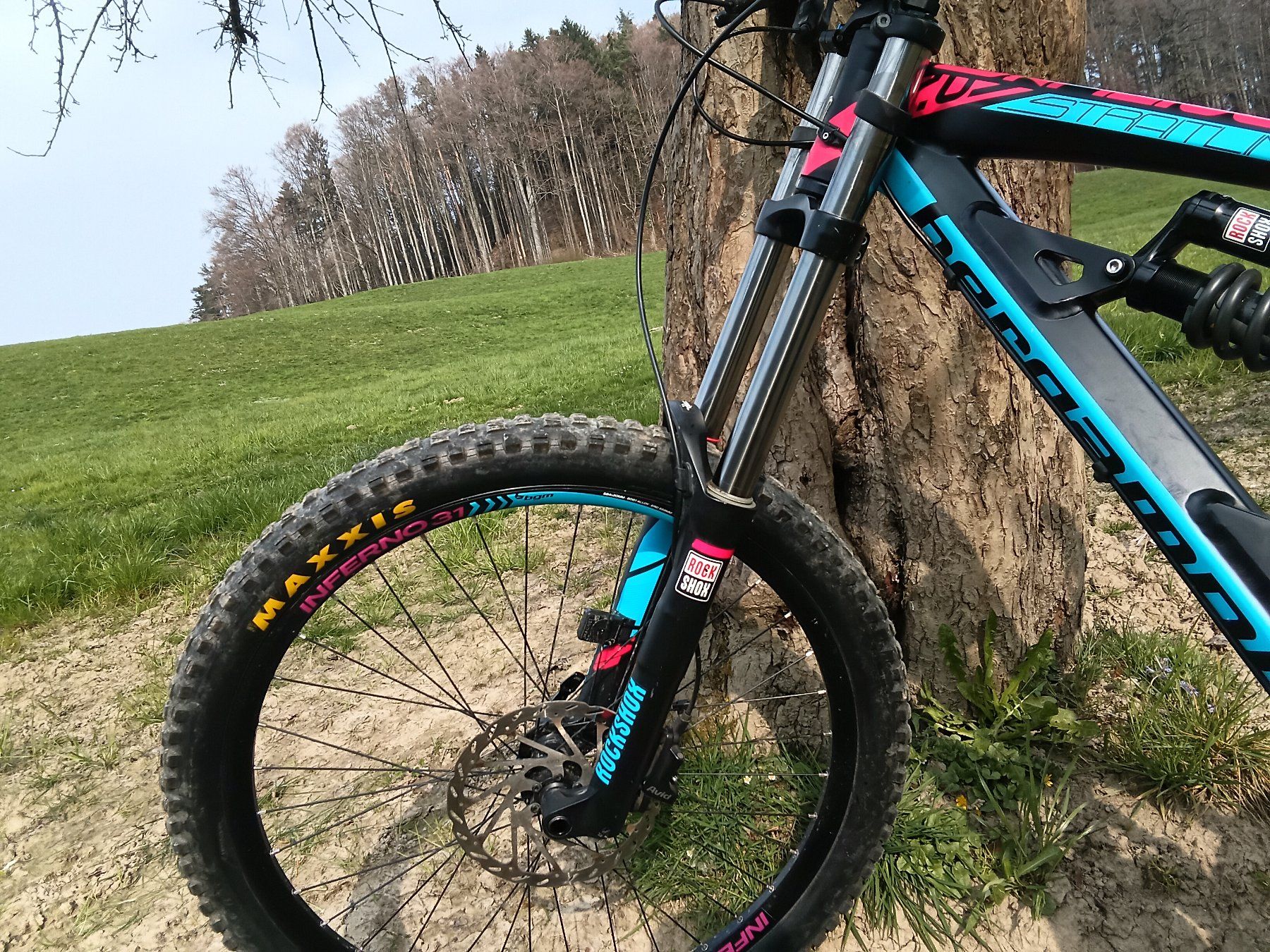 Bergamont Biciclette: Downhill Bike Bergamont Straitline – Usato da walde venduto da cornelia_klaus 5
