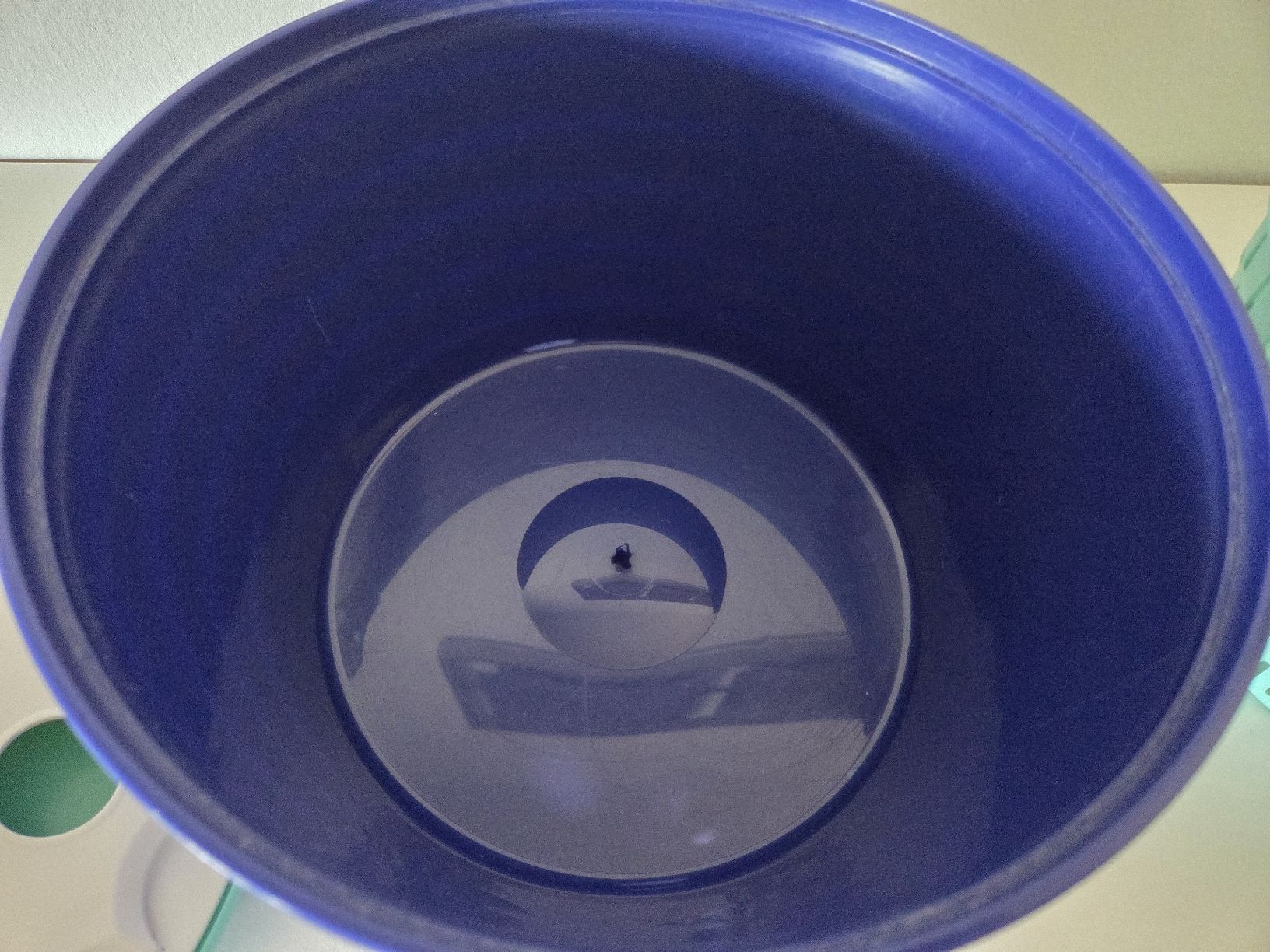 Tupperware Contenitori & Simili: Tupperware Salatschleuder – Usato da Embrach venduto da Musti20 2
