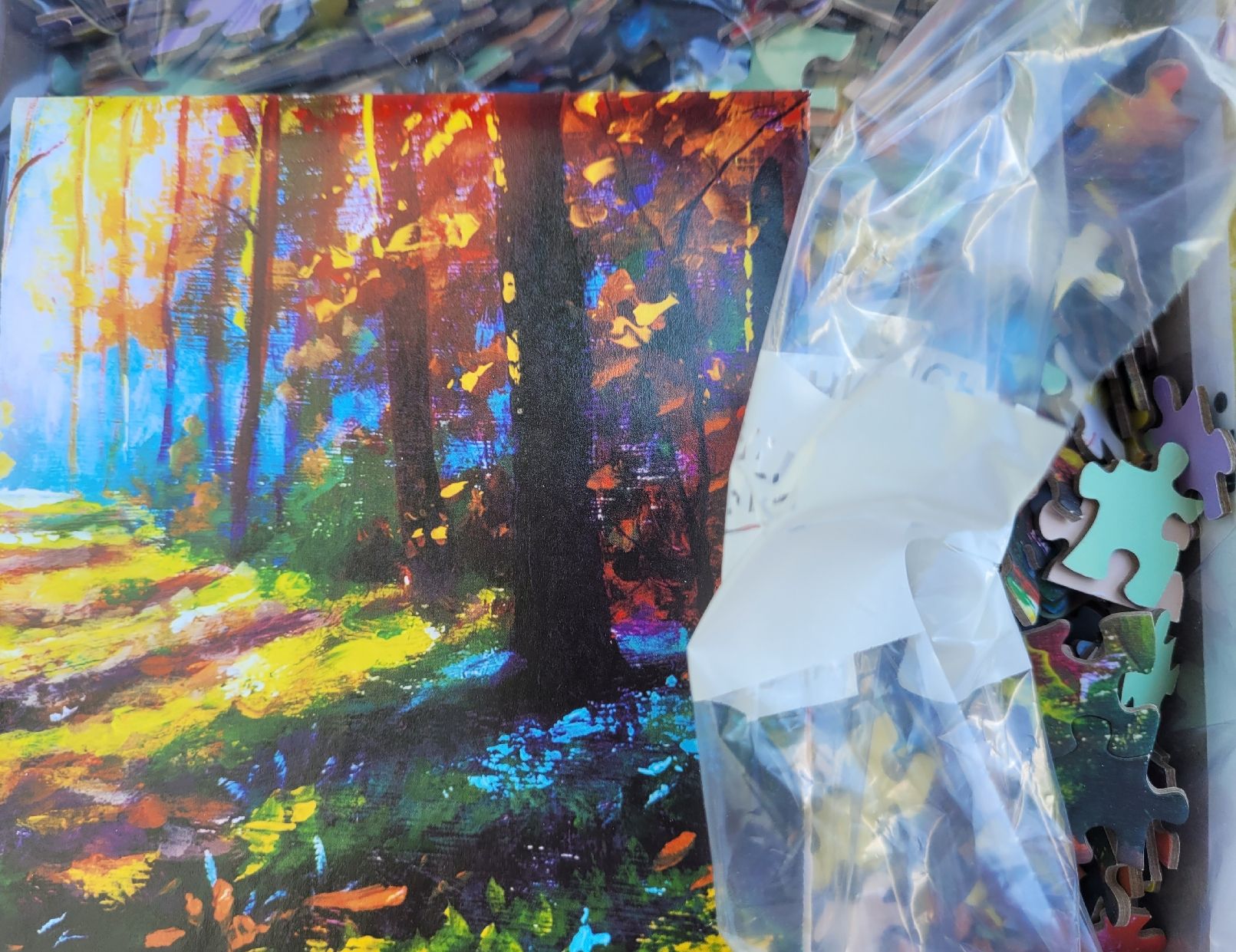 Puzzle: 1000 Teile Puzzle "Wunderschöner Wald" MaxRenard – Usato da Niederbipp venduto da Schlako 3
