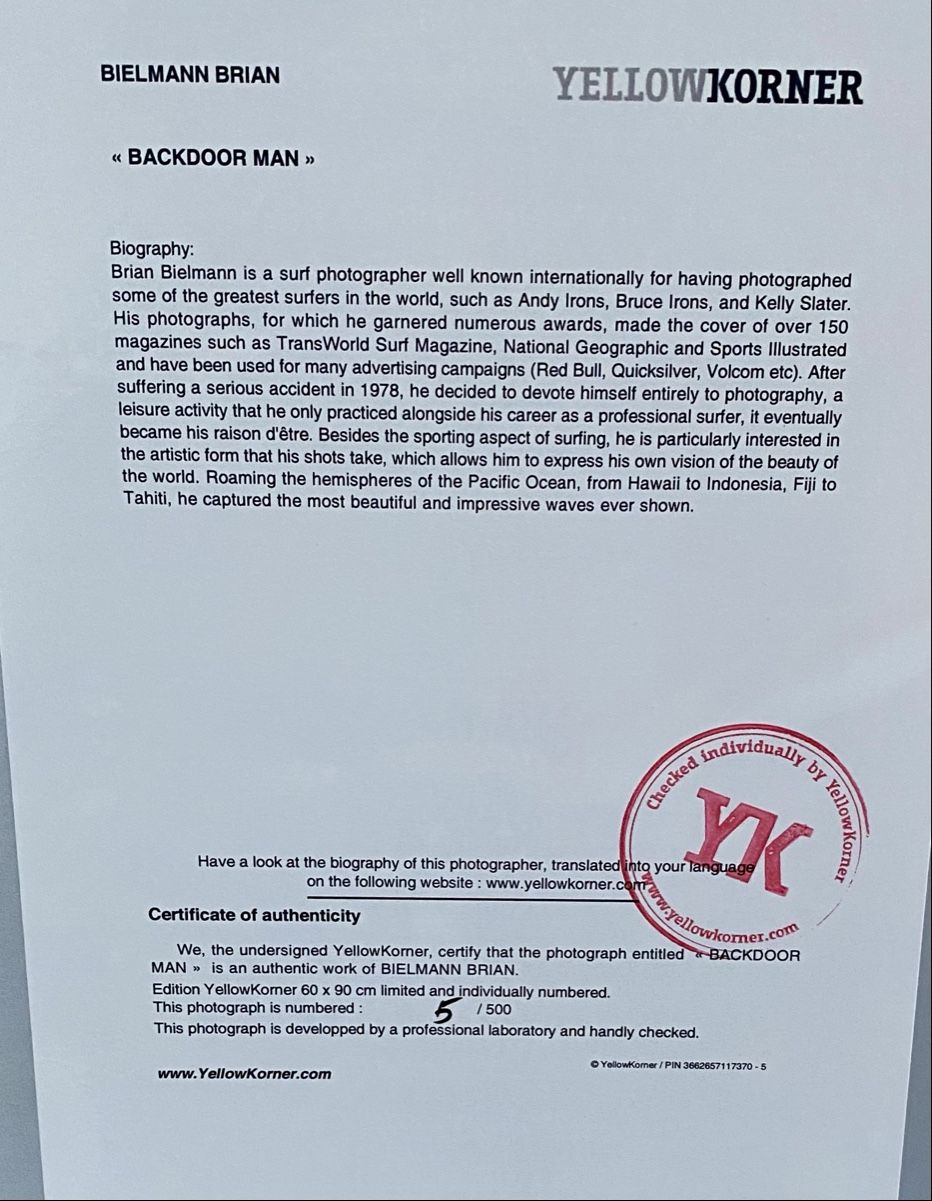Posters & Illustrations: Backdoor Man / BRIAN BIELMANN – D'occasion à Chêne-Bougeries par schwetche 1